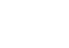 Vector